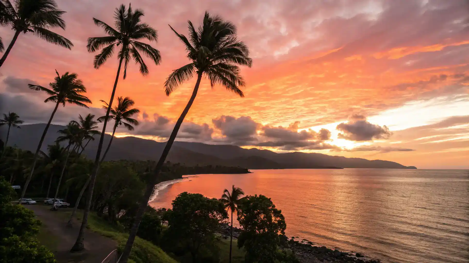 Stunning sunset over the Cairns coastline with palm trees silhouetted against the colorful sky.