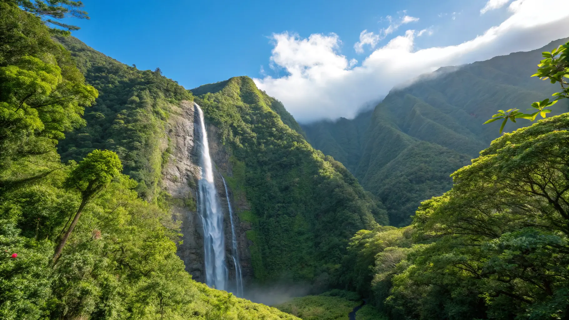 A stunning view of Manoa Falls in Oahu, Hawaii, with lush greenery and a clear blue sky.